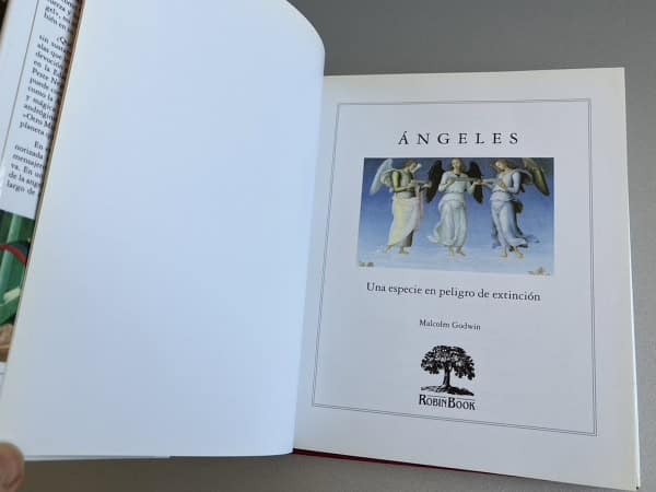 Ángeles Una especie en peligro de extinción — Malcolm Godwin | Robin Book 1991