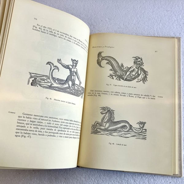 Ilustraciones Monstruos y prodigios — Ambroise Paré | Siruela 1987 Primera Edición | Biblioteca Sumergida