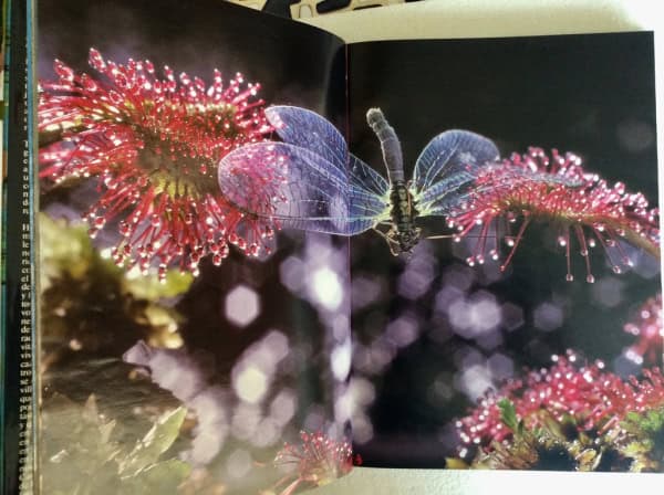 excelentes fotografías de Naturalis