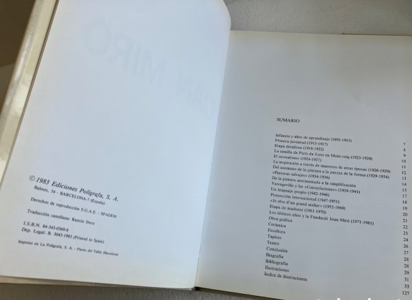 Libro de Pintura, Rosa Mª Malet | Polígrafa 1983